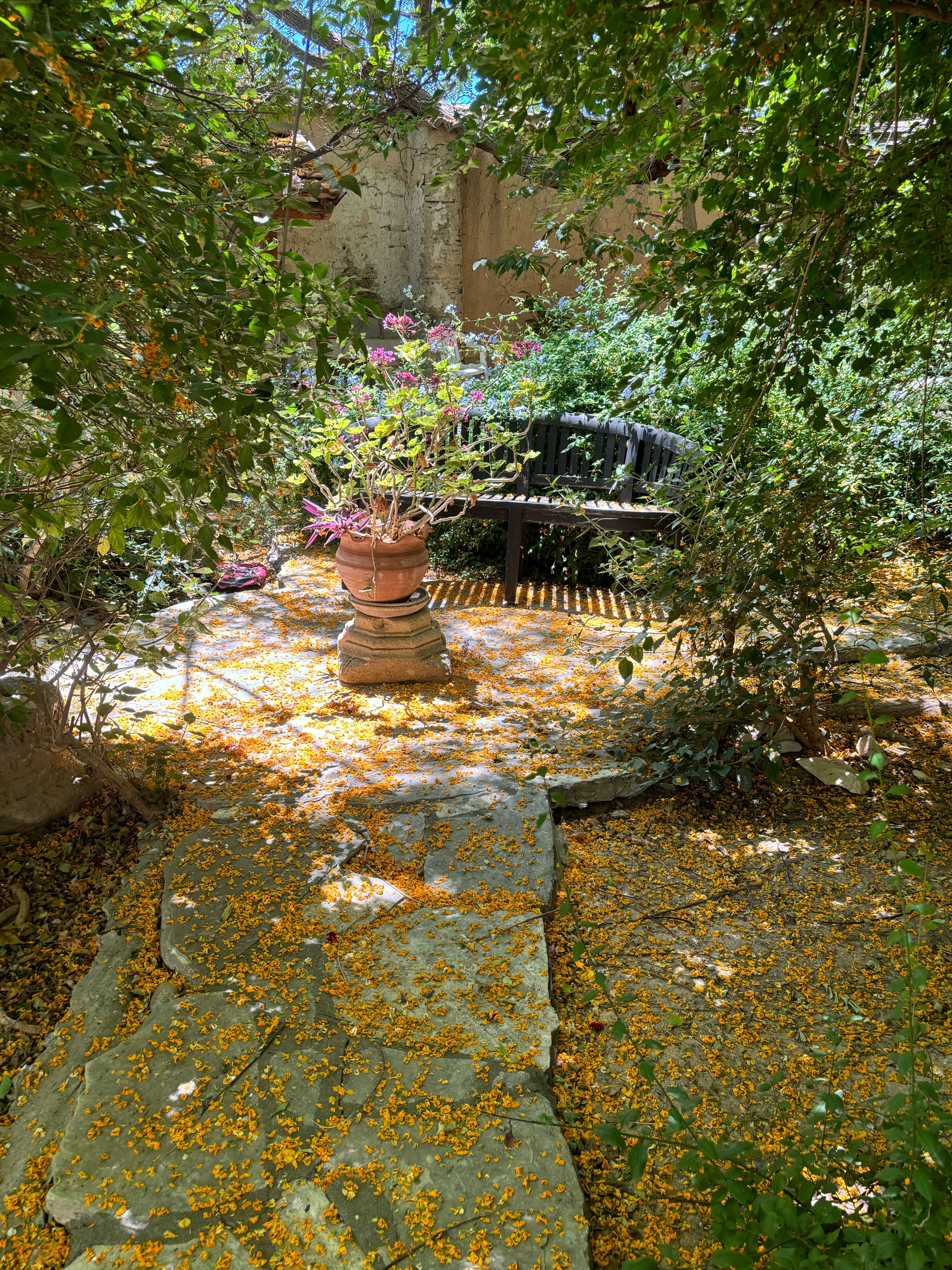 IMG_8661.jpg