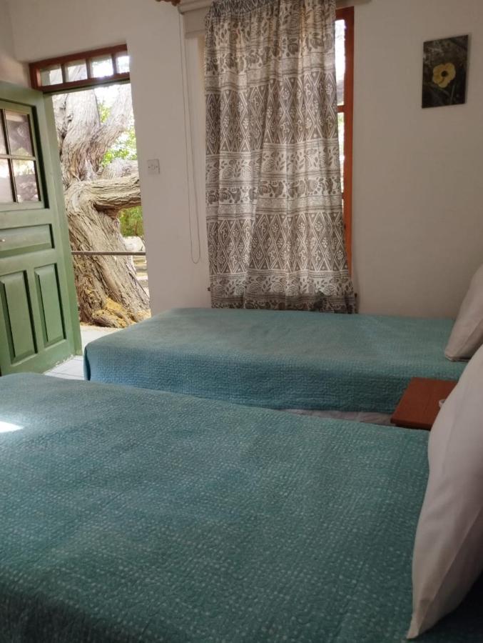 rooms8.jpg